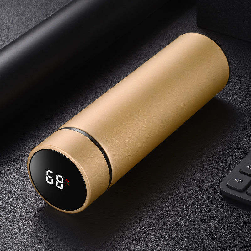 Bouteille d'eau isotherme en acier inoxydable de 450 ml à double paroi sous vide, idéale pour les voyages d'affaires, le sport et les activités de plein air.