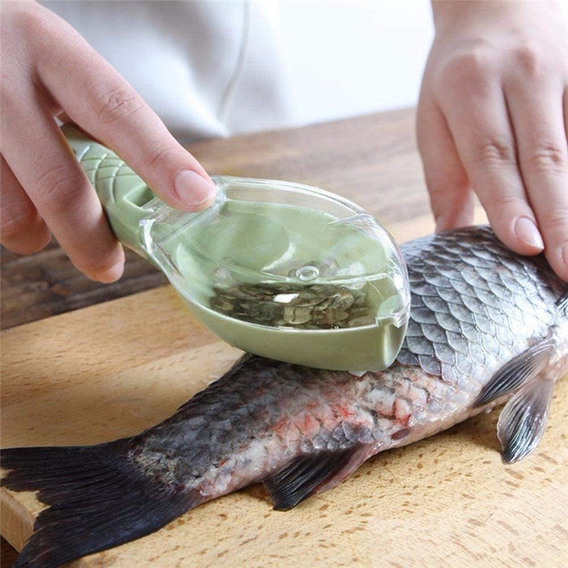 Brosse à écailles de poisson, râpe à écailles, couteau à poisson à démontage rapide, outil de cuisine pour le nettoyage et l'écaillage des poissons