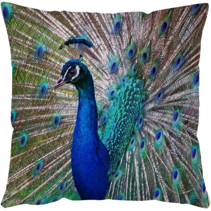 Housses de coussin imprimées tortues marines pour la décoration intérieure, canapé et fauteuil.