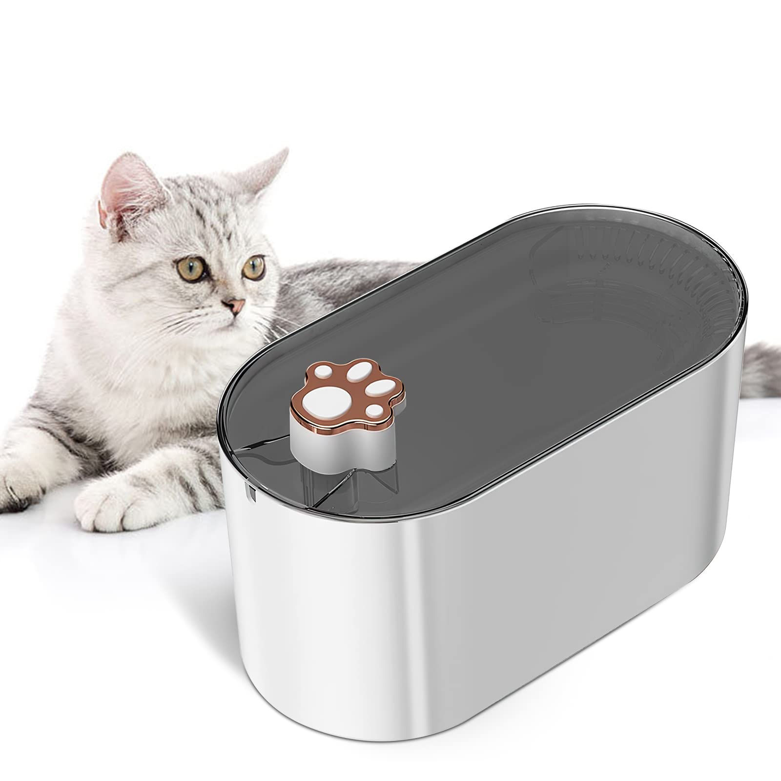 Fontaine à eau automatique 3L pour chats et chiens, avec filtre et lumière LED. Distributeur d'eau ultra-silencieux.